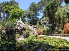 Giardini della Mortella: Botanischer Garten auf Ischia Botanischer Garten Giardini della Mortella Ischia